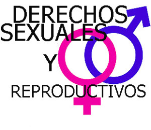 derechos copia