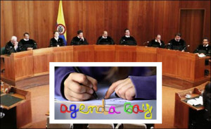 Corte-constitucional agenda gay